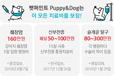 펫퍼민트 Puppy&Dog는 이 모든 치료비를 보장! 췌장염 160만원 강아지 췌장염 5일 입원 병원비 (중앙일보 2018년 8월 7일) / 신부전증 매달 50~100만원 15살 시츄 신부전증 통원치료비 (한국일보 2017년 12월 26일) / 슬개골 탈구 80~300만원 각병원마다 수술비 차이 있음 (매일경제 2018년 1월 29일)
