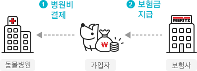 5. 국내 최초 동물병원 자동청구