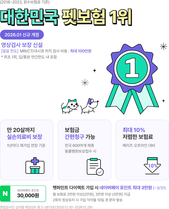 대한민국 펫보험 1위 관련 설명