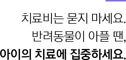 치료비는 묻지 마세요. 반려동물이 아플 땐, 아이의 치료에 집중하세요.