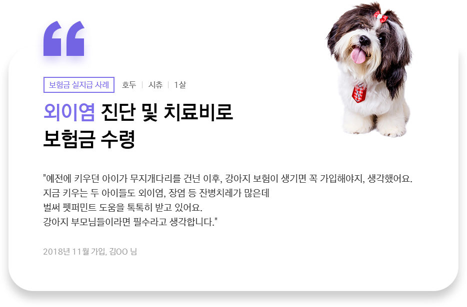 외이염 진단 및 치료비로 보험금 수령